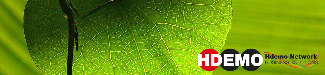 Flusso colore e formazione online con HDEMO